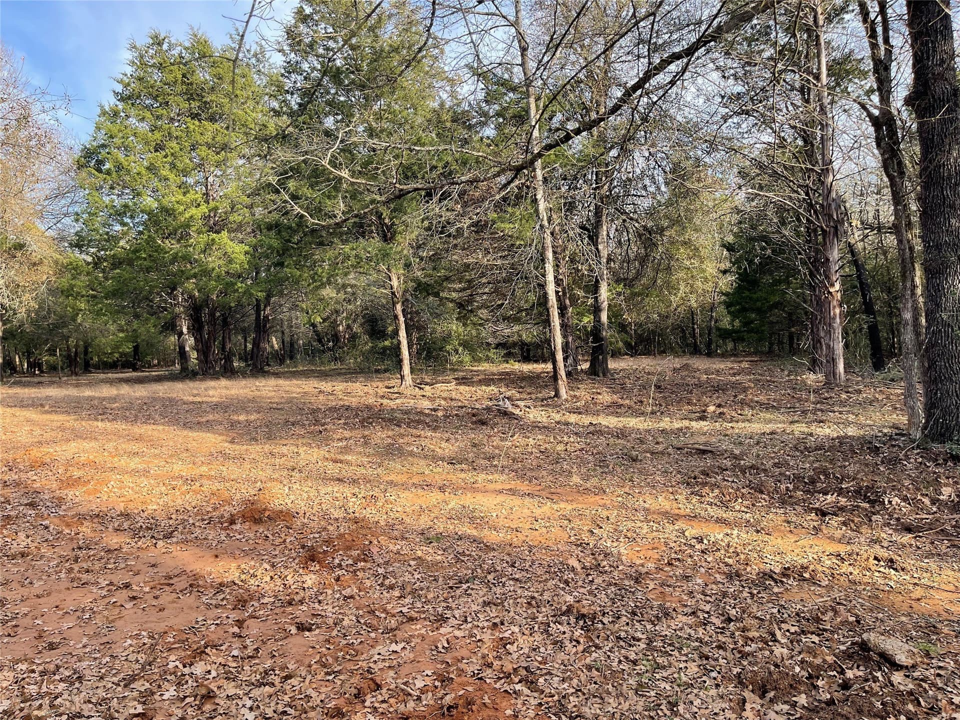 50 acres in Freestone County - photo 32