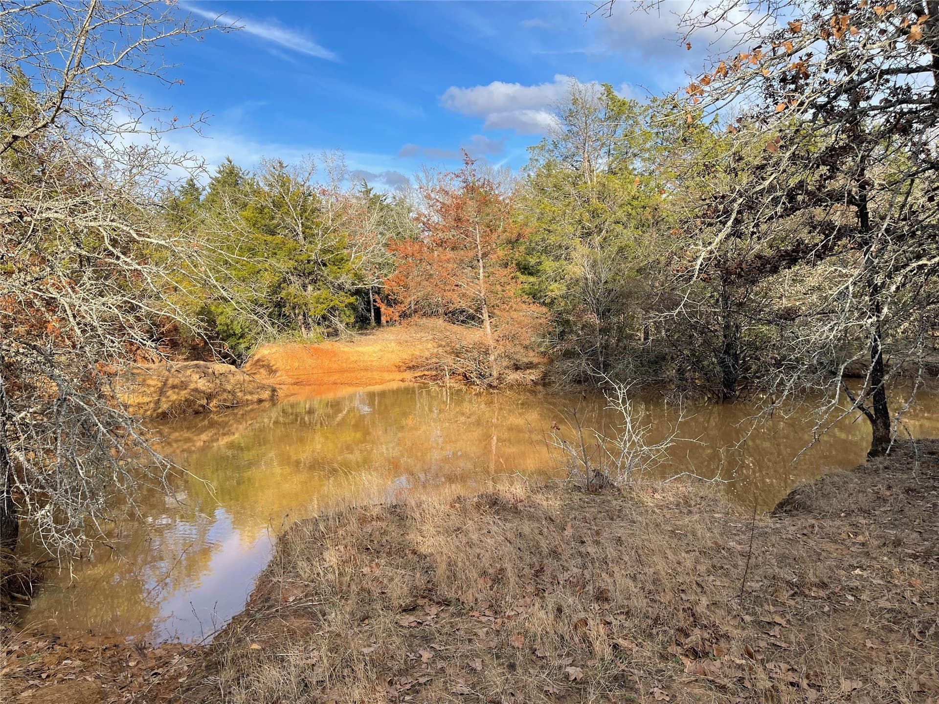 50 acres in Freestone County - photo 25