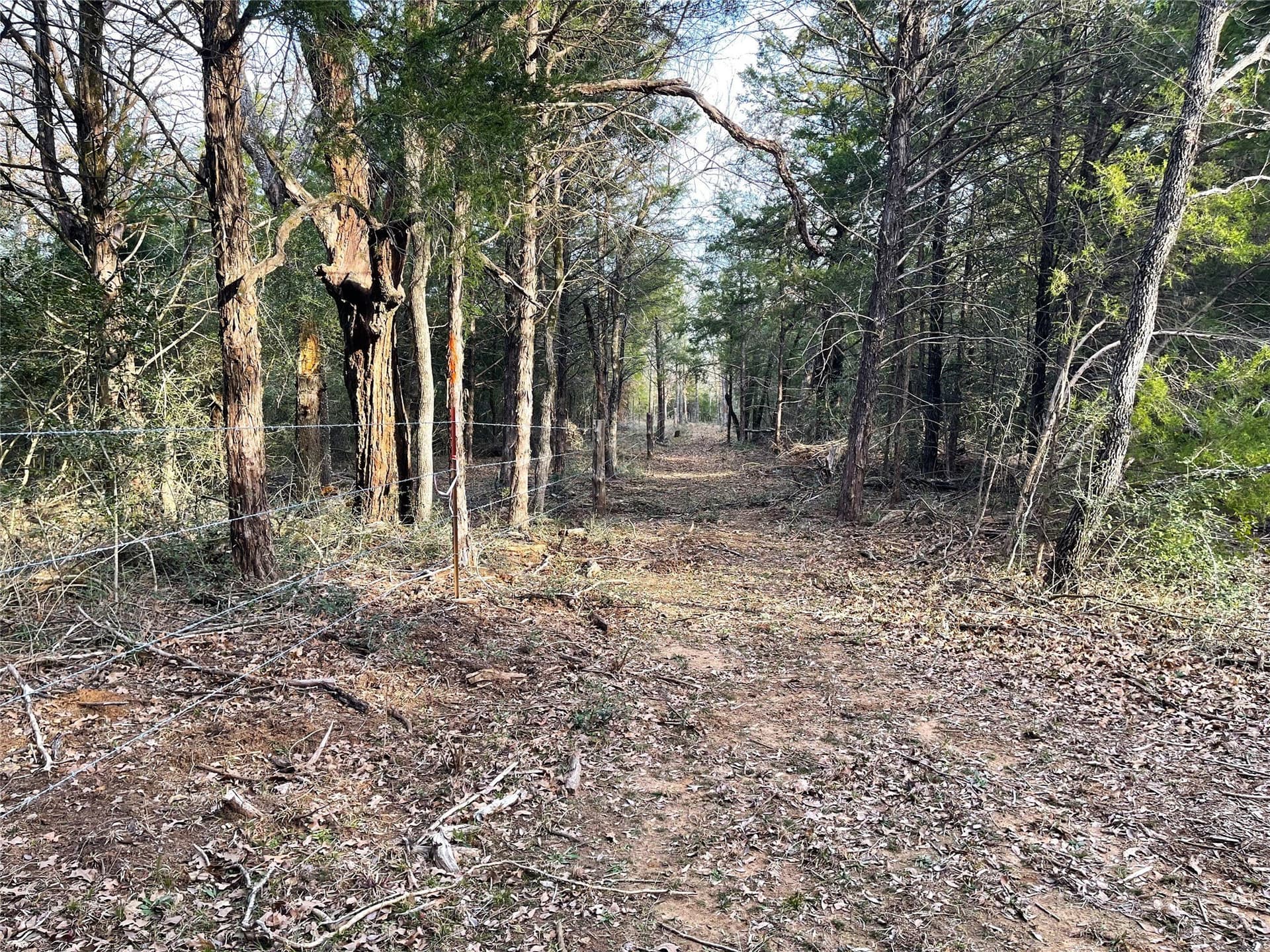 50 acres in Freestone County - photo 35