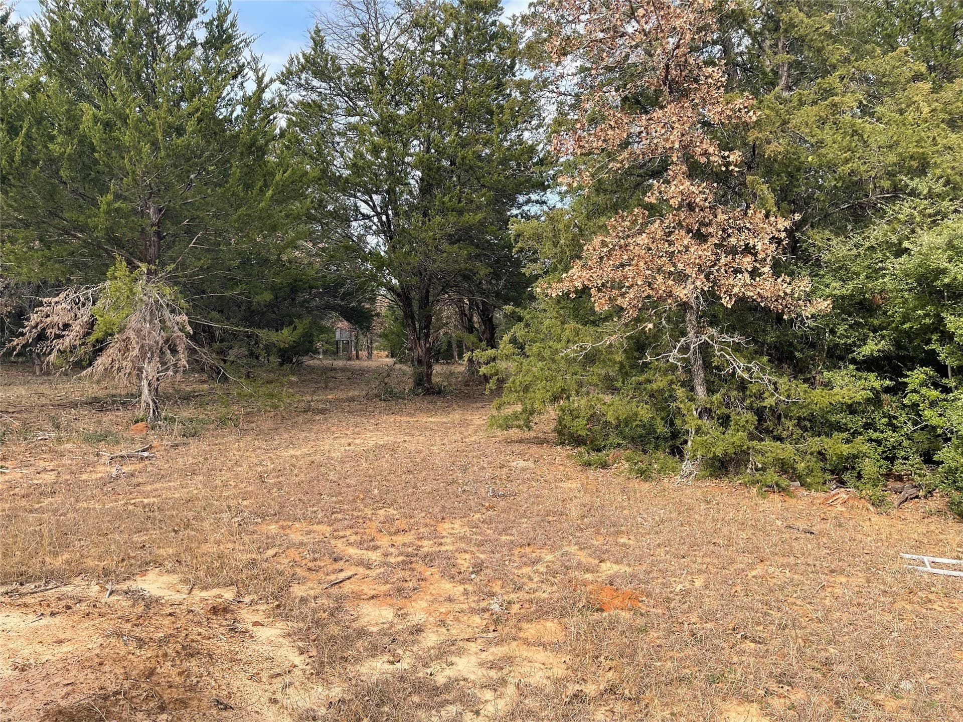 50 acres in Freestone County - photo 23