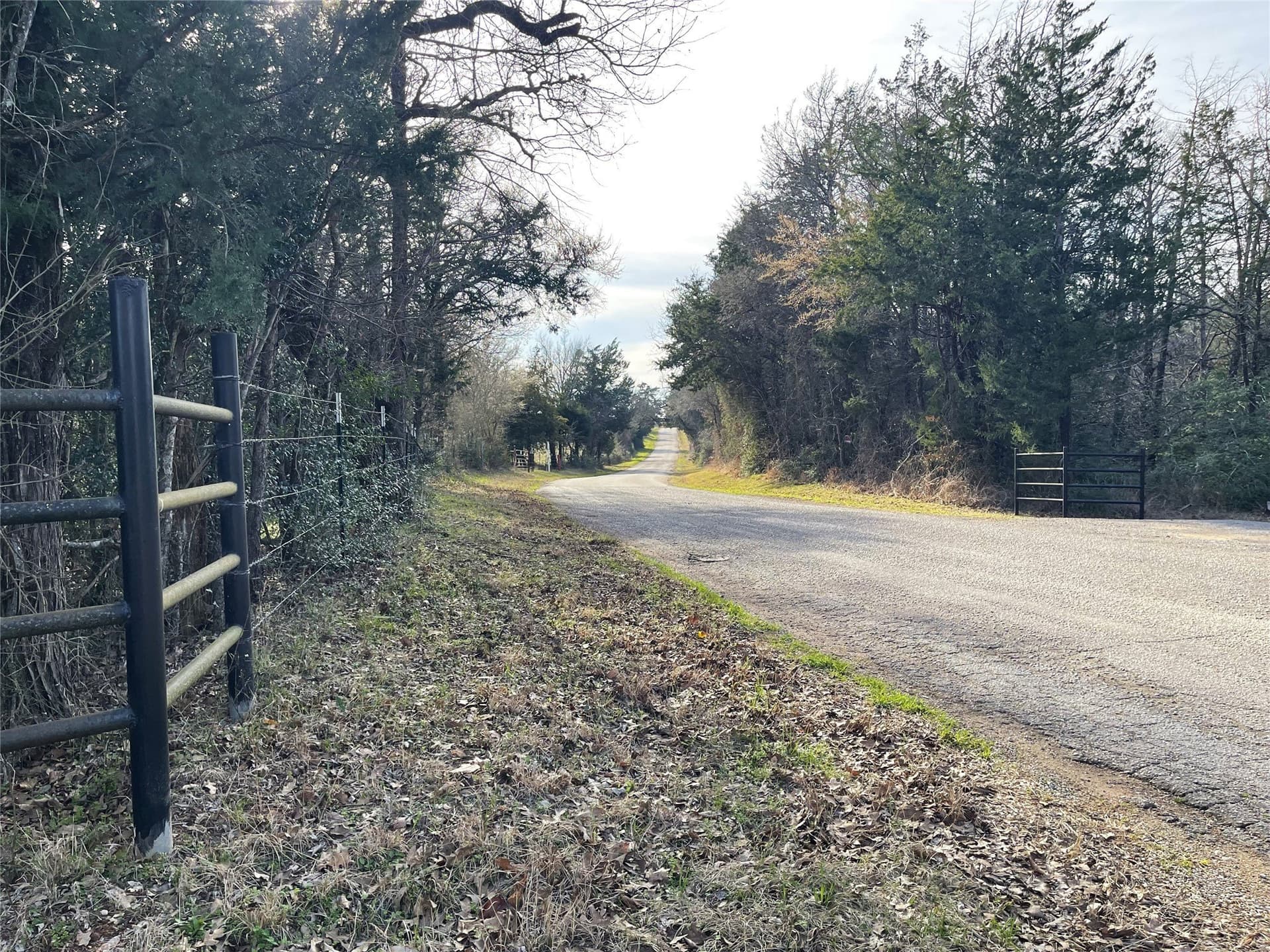 50 acres in Freestone County - photo 36
