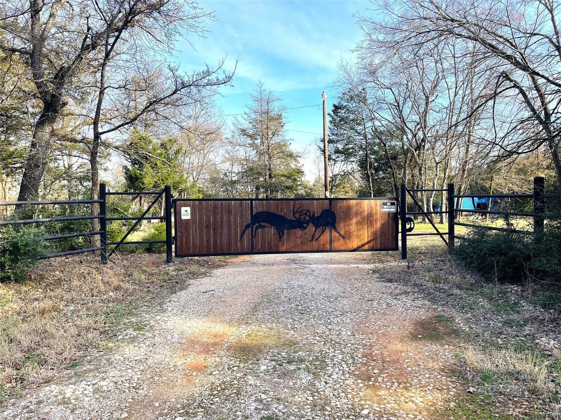 50 acres in Freestone County - photo 5
