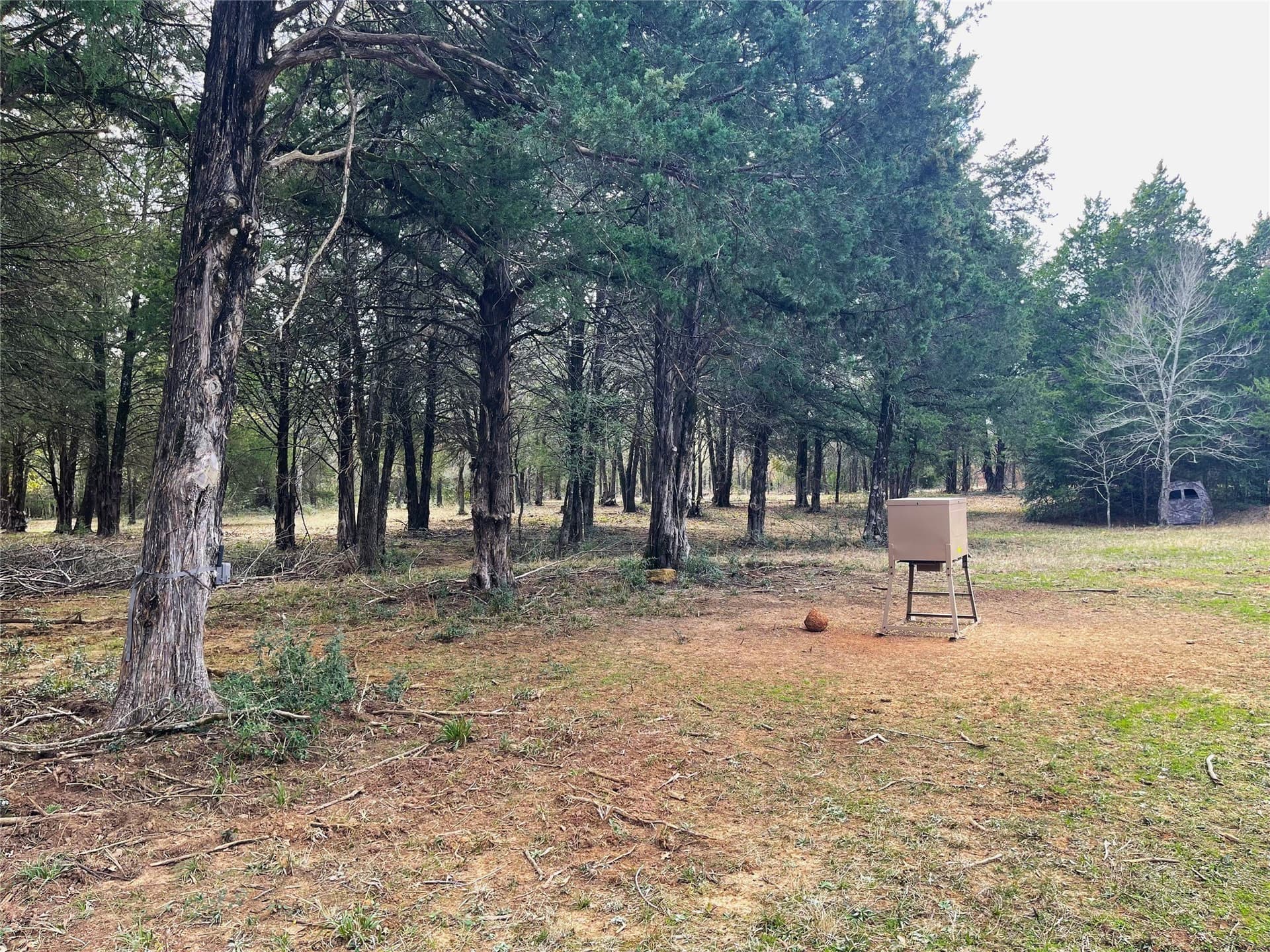 50 acres in Freestone County - photo 26
