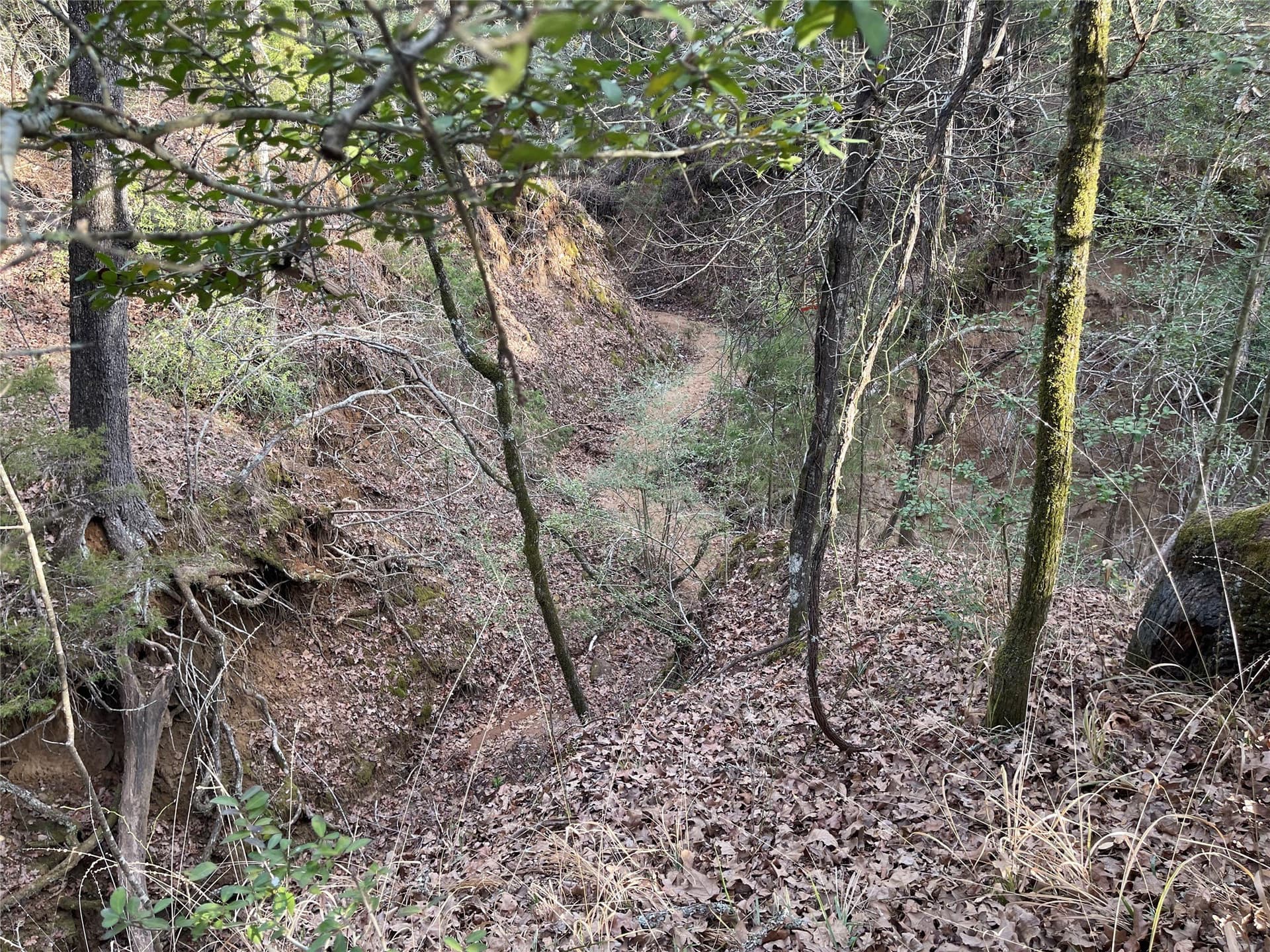 50 acres in Freestone County - photo 28