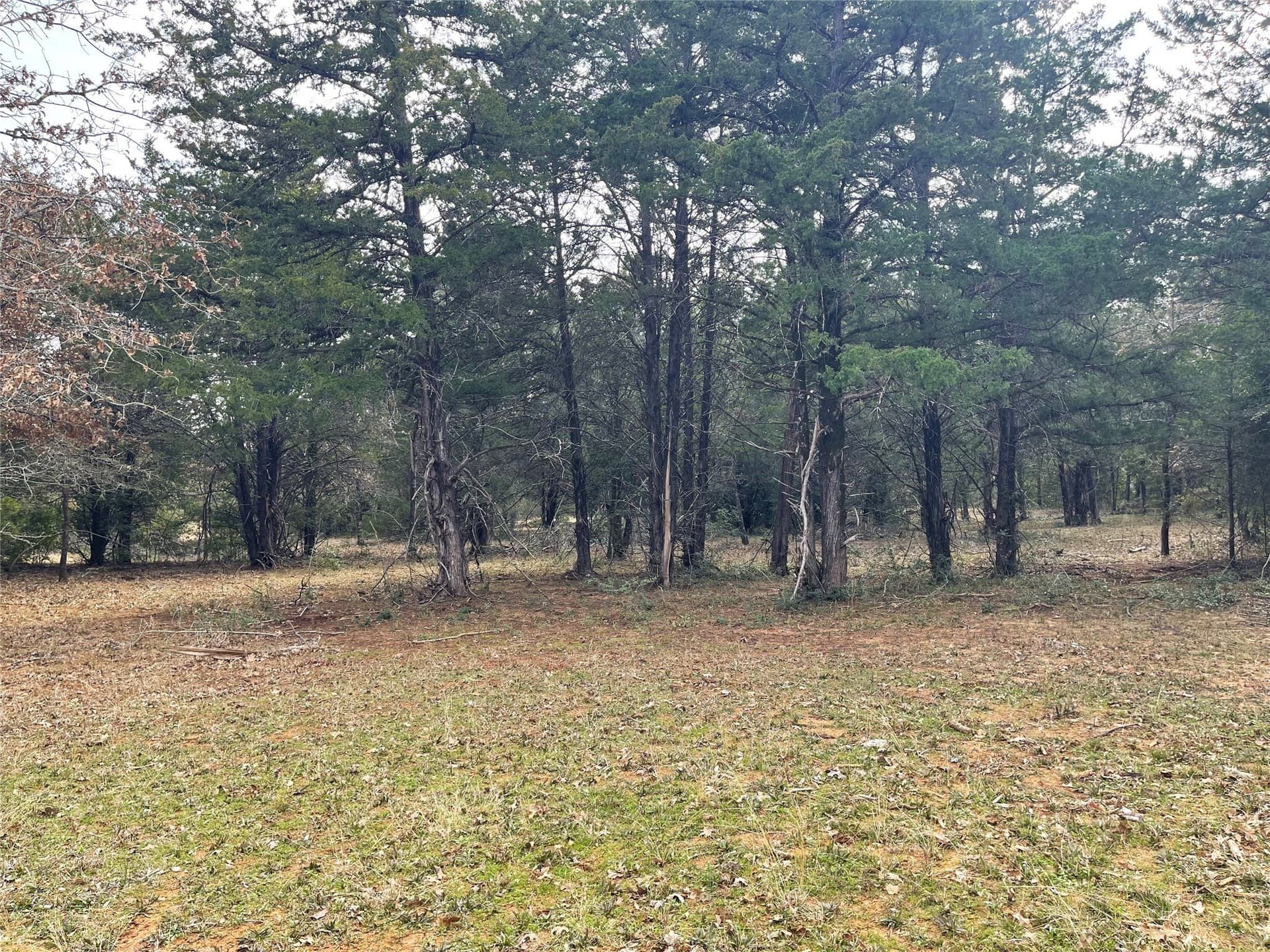 50 acres in Freestone County - photo 13