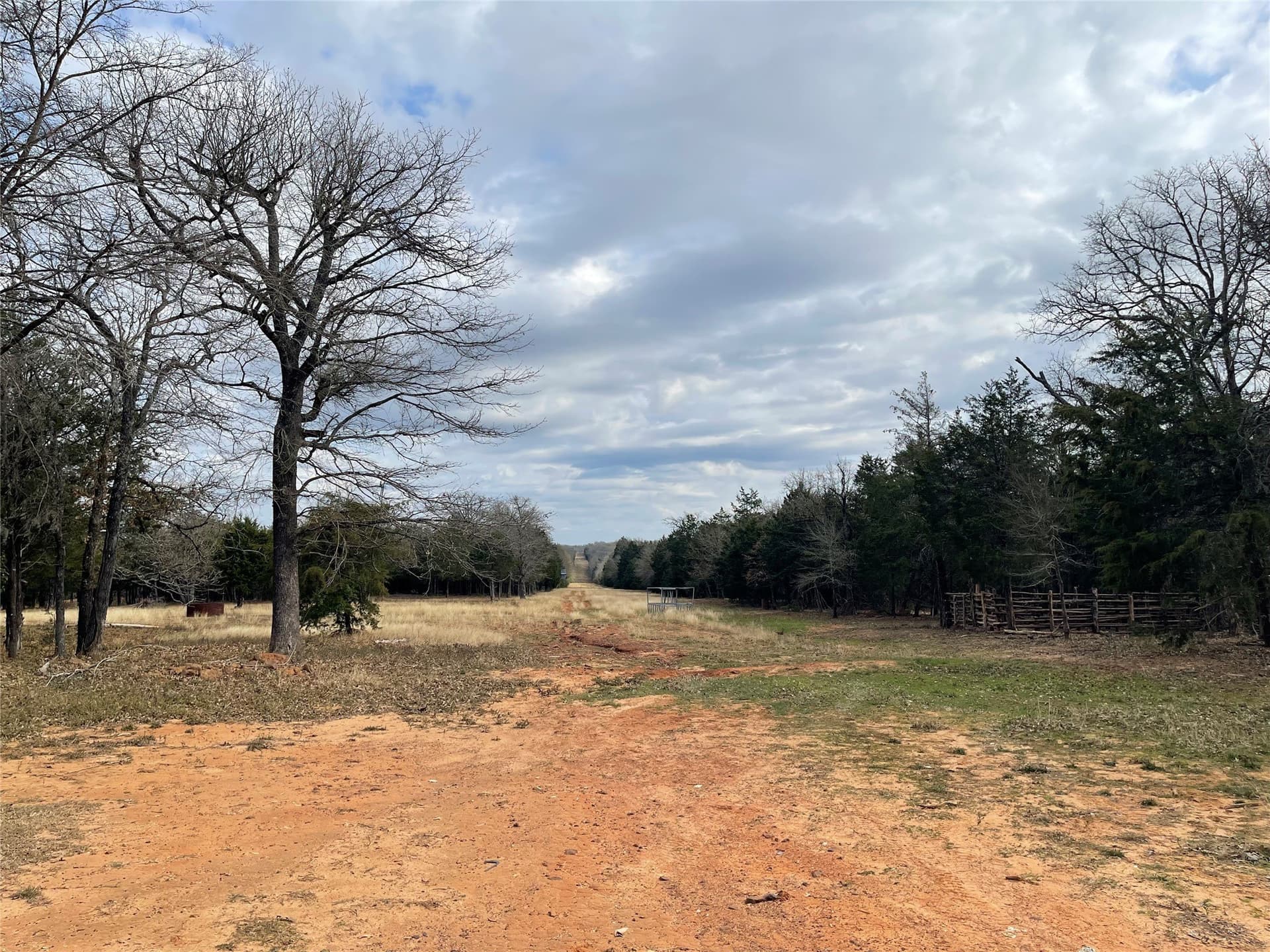 50 acres in Freestone County - photo 17