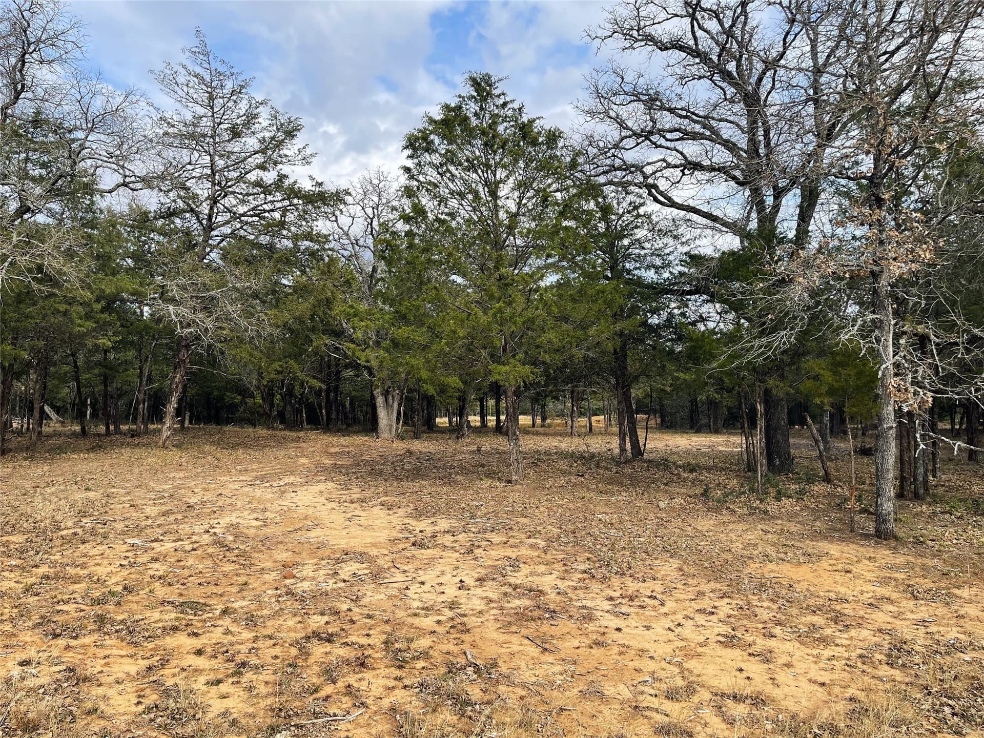 50 acres in Freestone County - photo 21