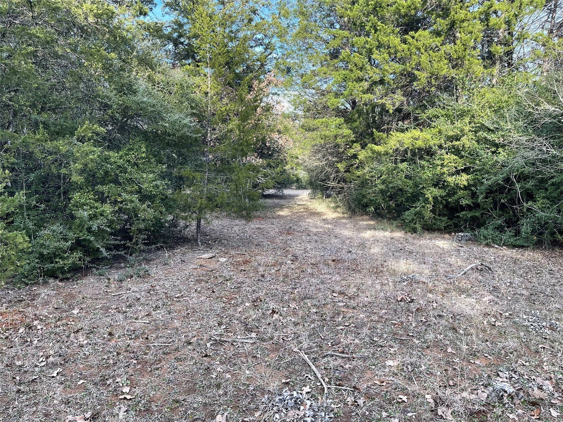 50 acres in Freestone County - photo 34