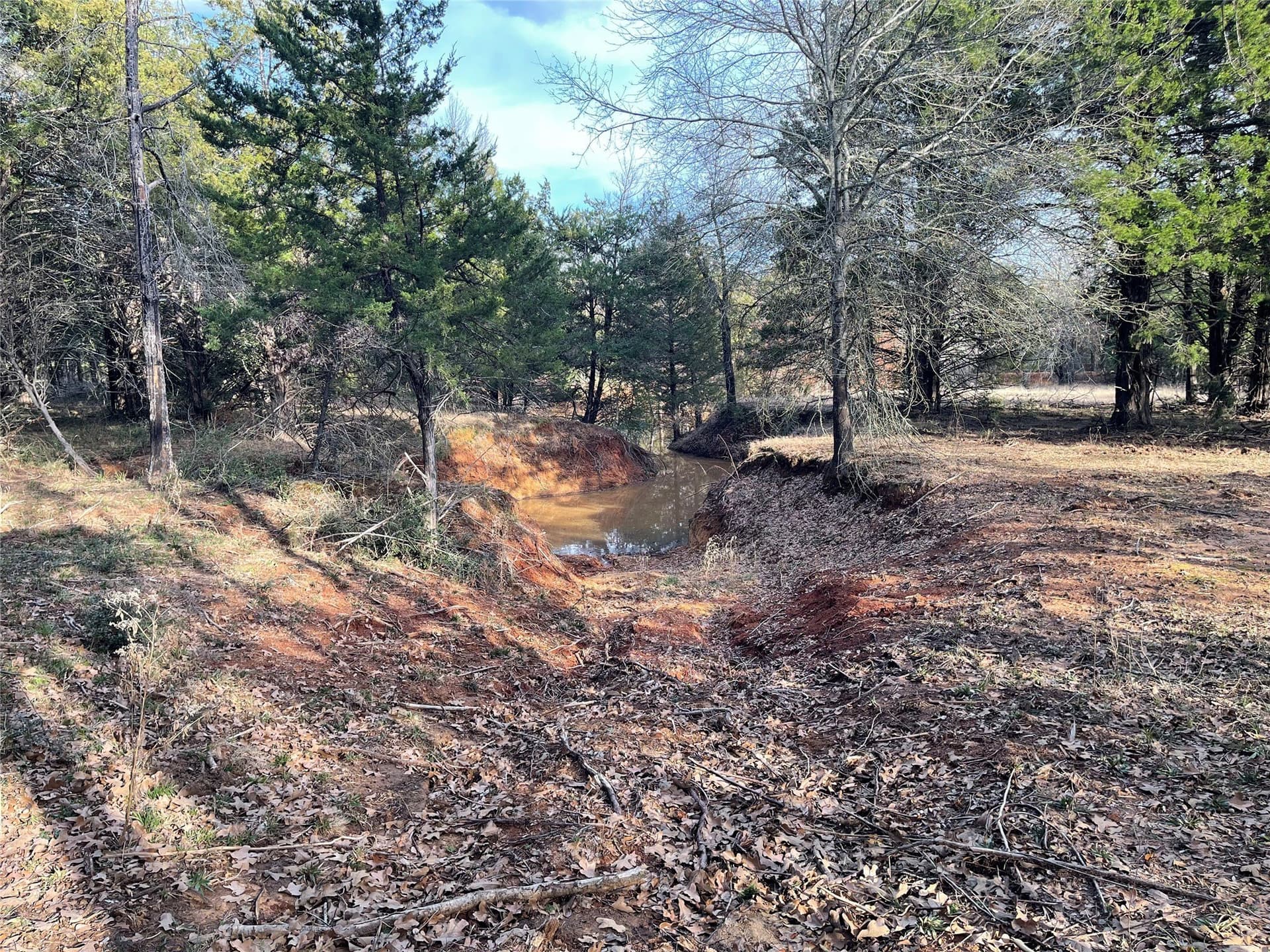 50 acres in Freestone County - photo 27