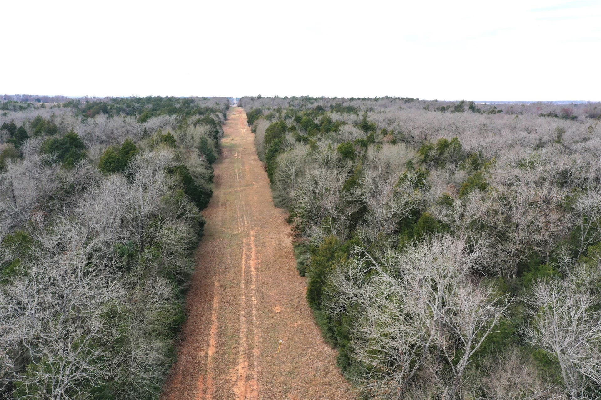 50 acres in Freestone County - photo 14