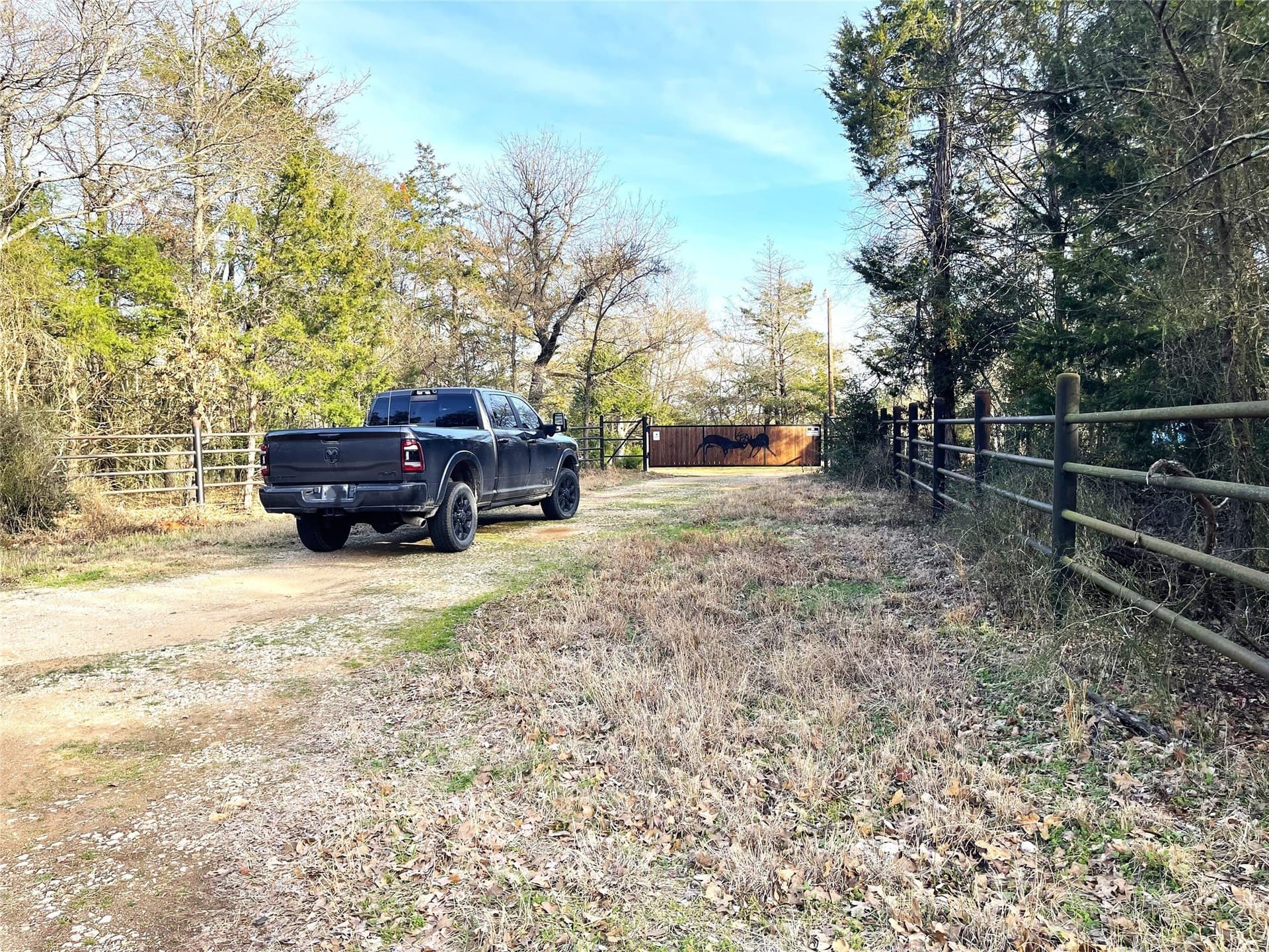 50 acres in Freestone County - photo 7