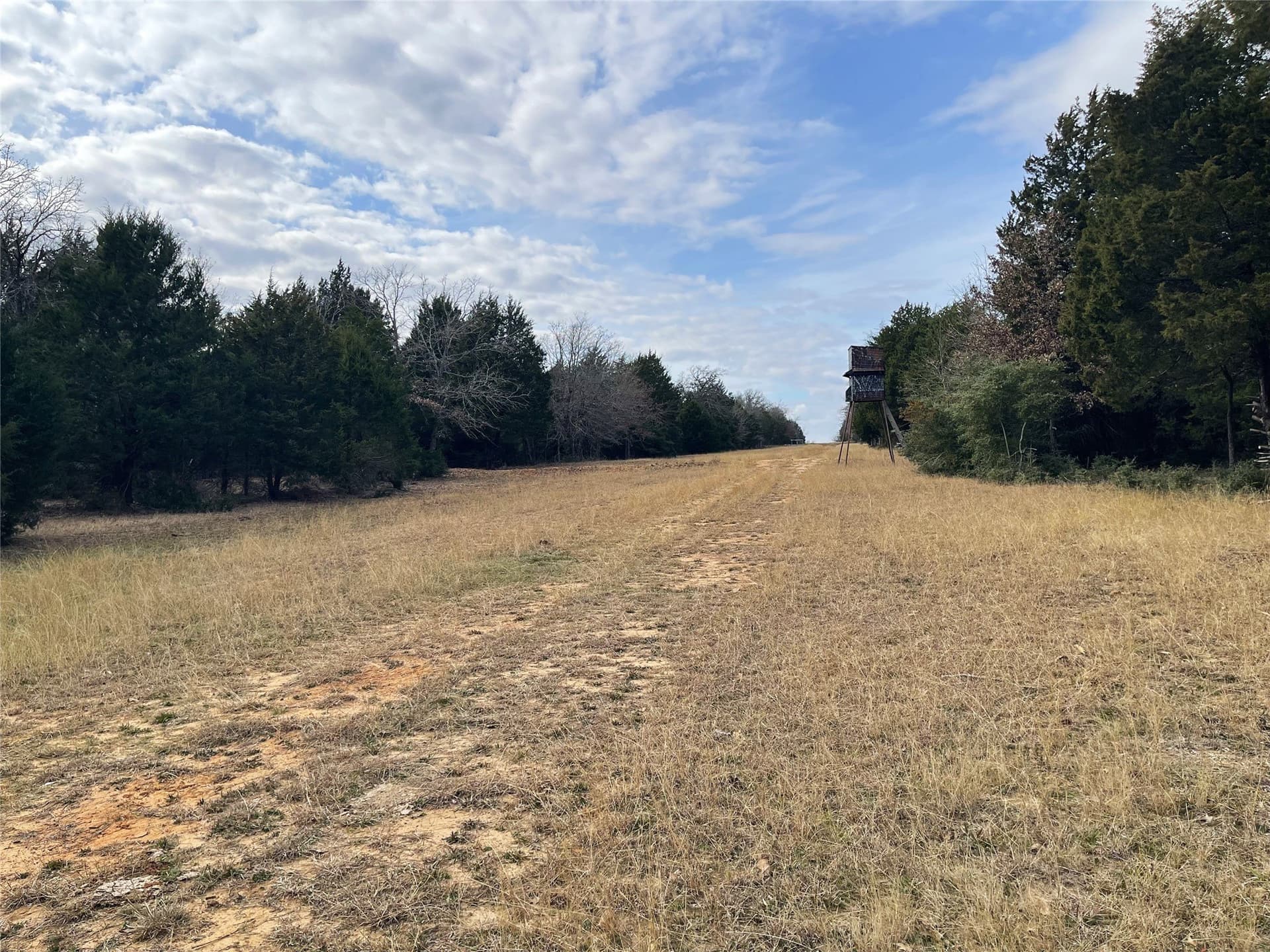 50 acres in Freestone County - photo 15