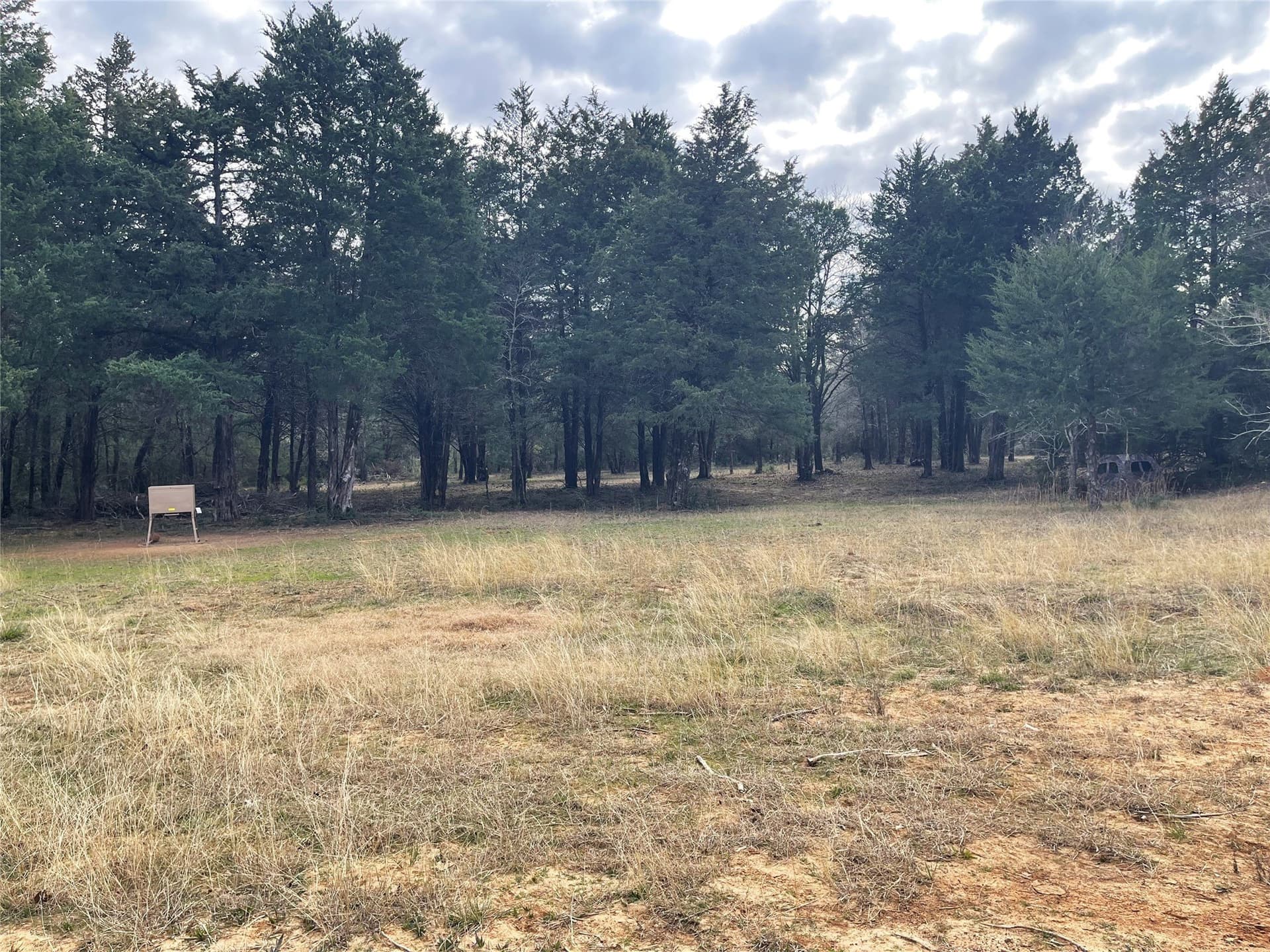50 acres in Freestone County - photo 24