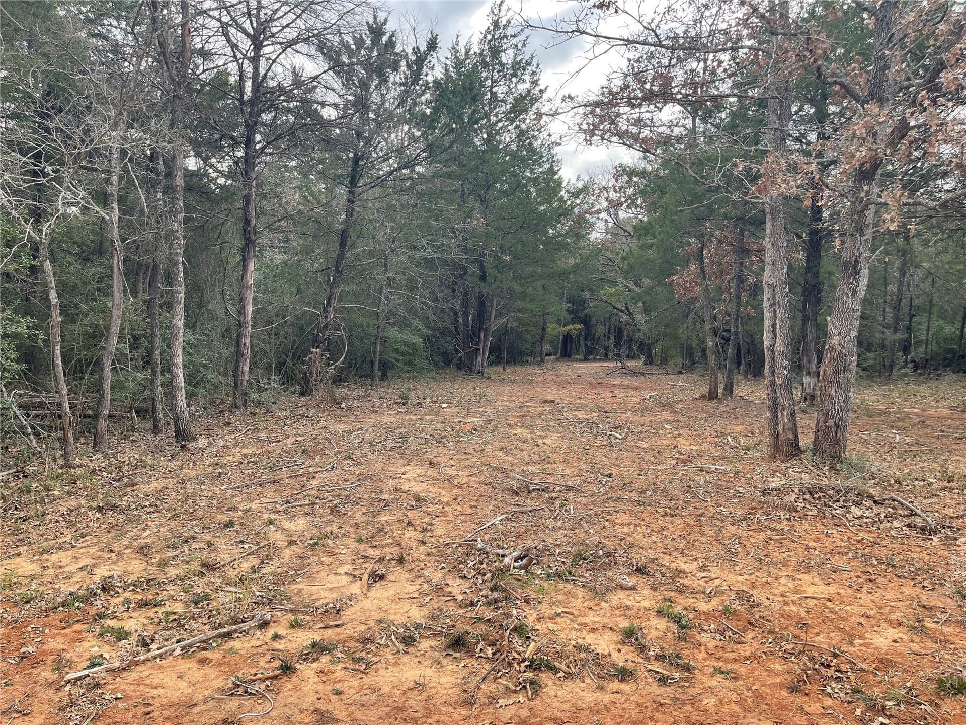 50 acres in Freestone County - photo 22