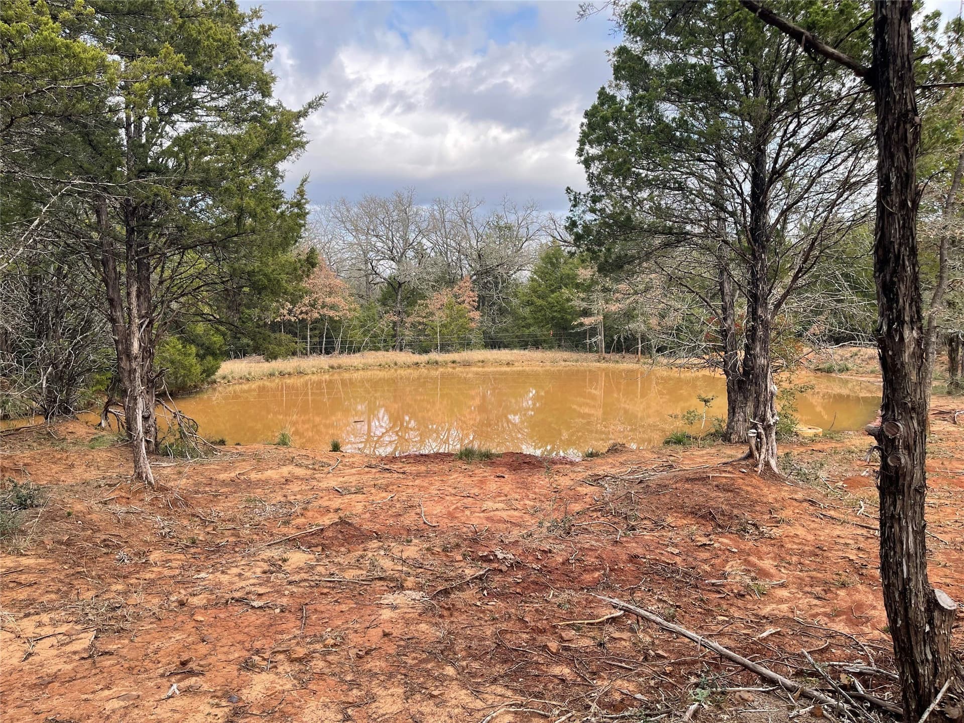 50 acres in Freestone County - photo 12