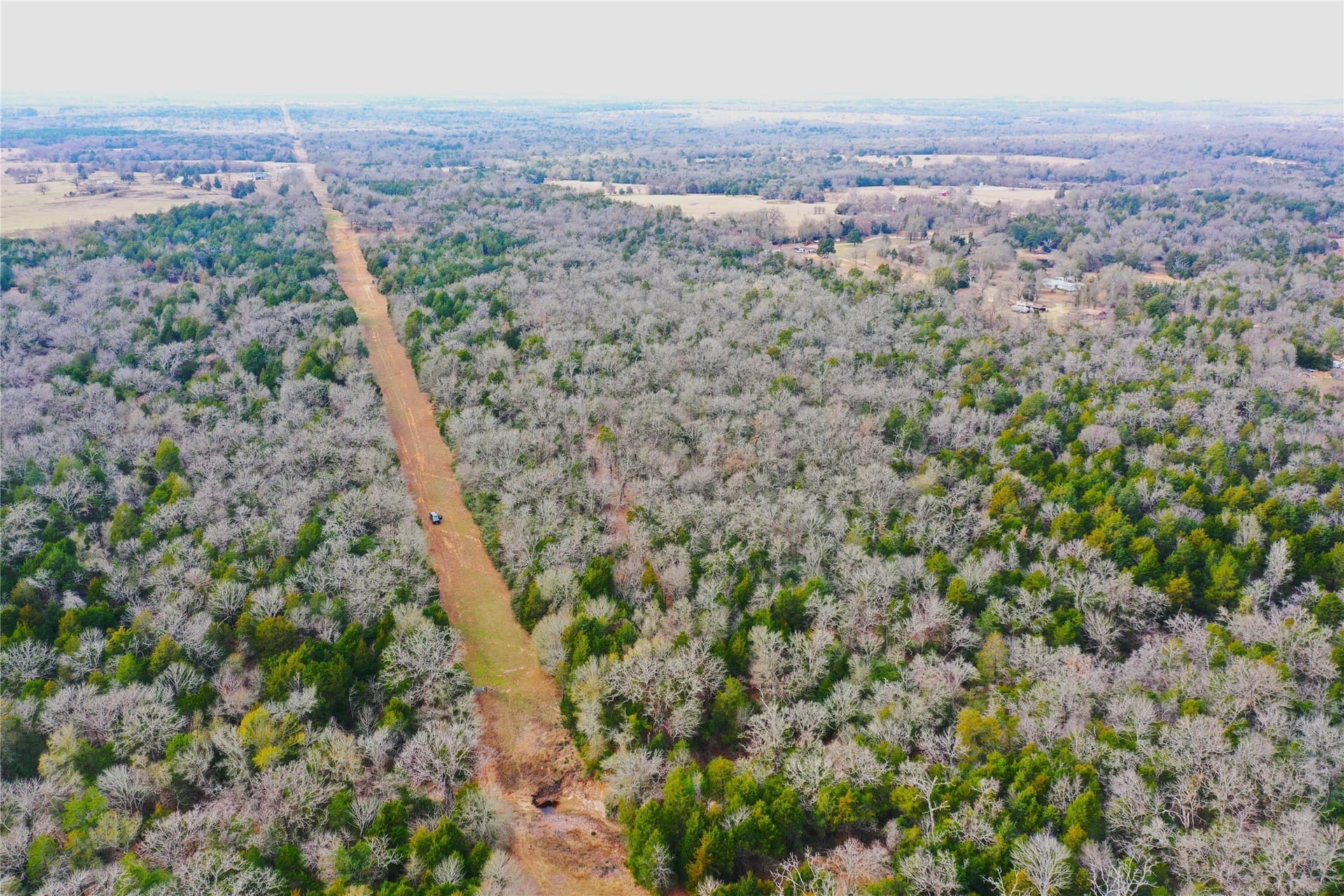 50 acres in Freestone County - photo 16