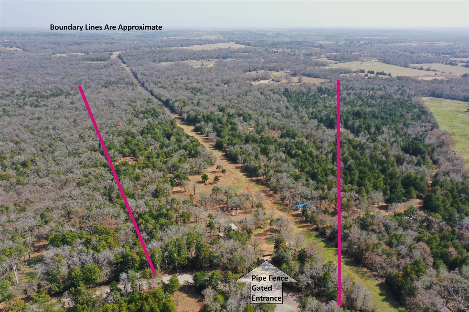 50 acres in Freestone County - photo 4