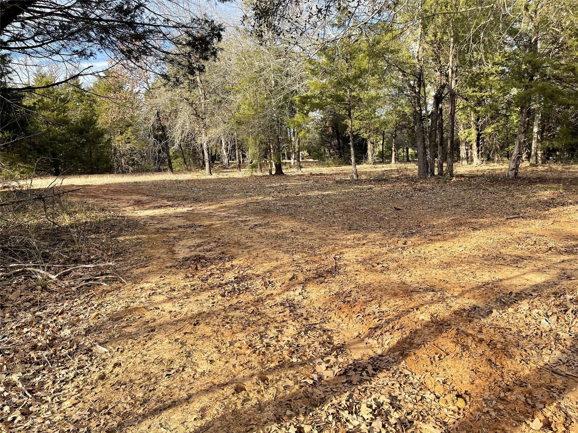 50 acres in Freestone County - photo 33