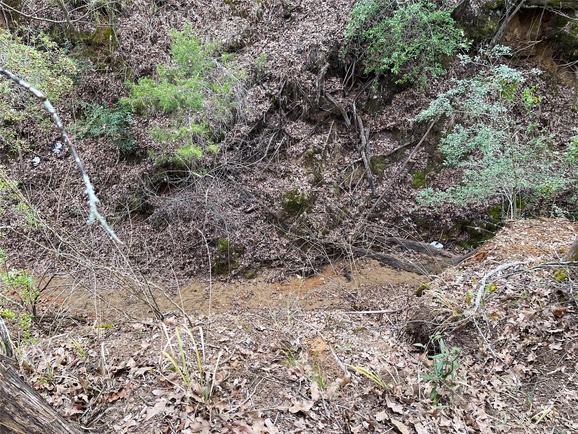 50 acres in Freestone County - photo 31
