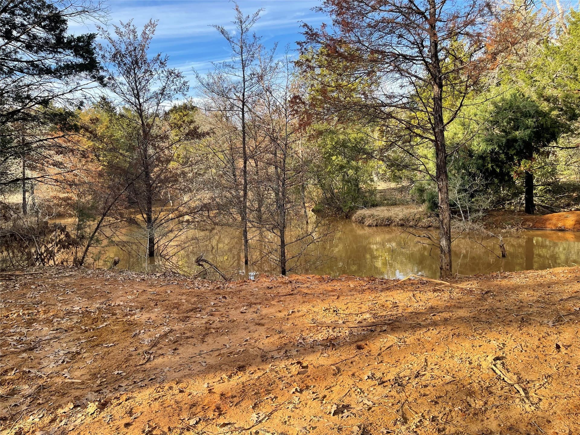 50 acres in Freestone County - photo 30