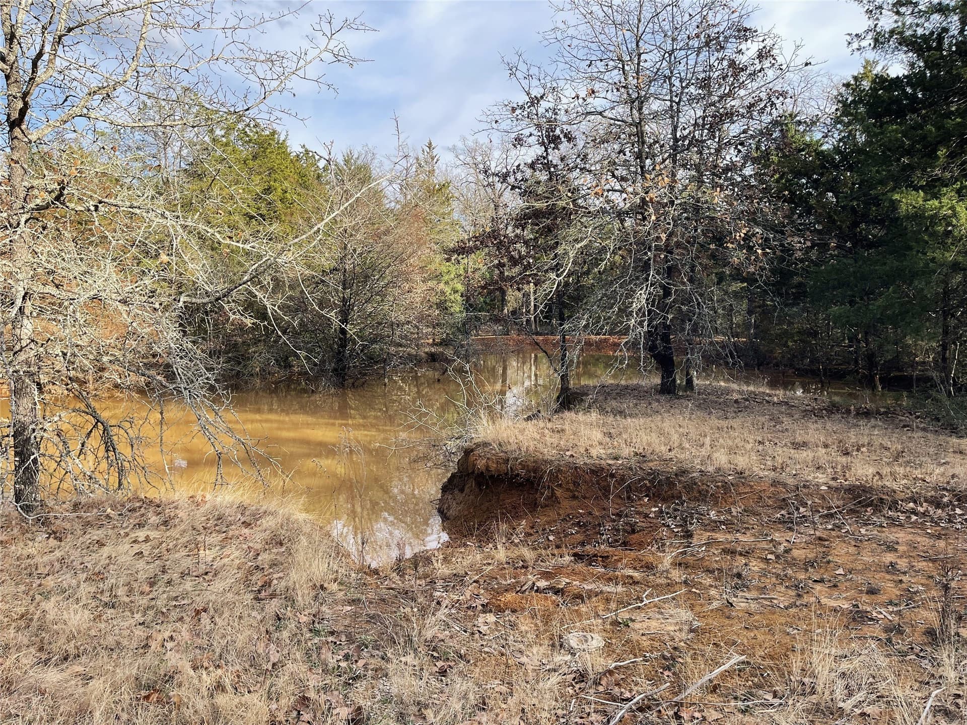 50 acres in Freestone County - photo 19