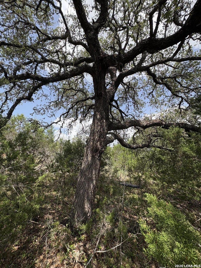 4.85 acres in Comal County - photo 7