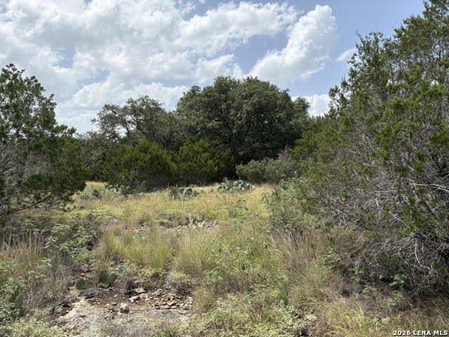 4.85 acres in Comal County gallery image 4