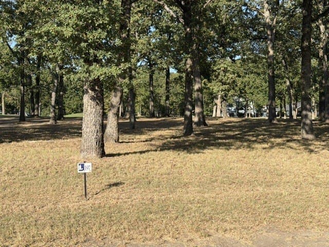 0.3 acres in Henderson County - photo 3