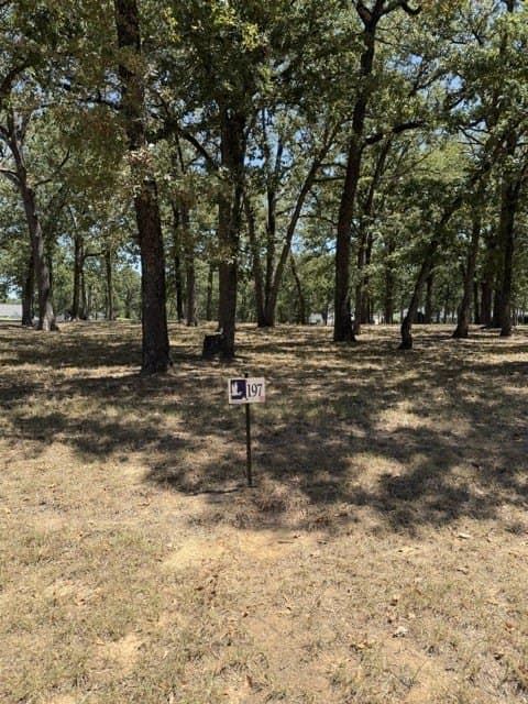 0.3 acres in Henderson County - photo 5