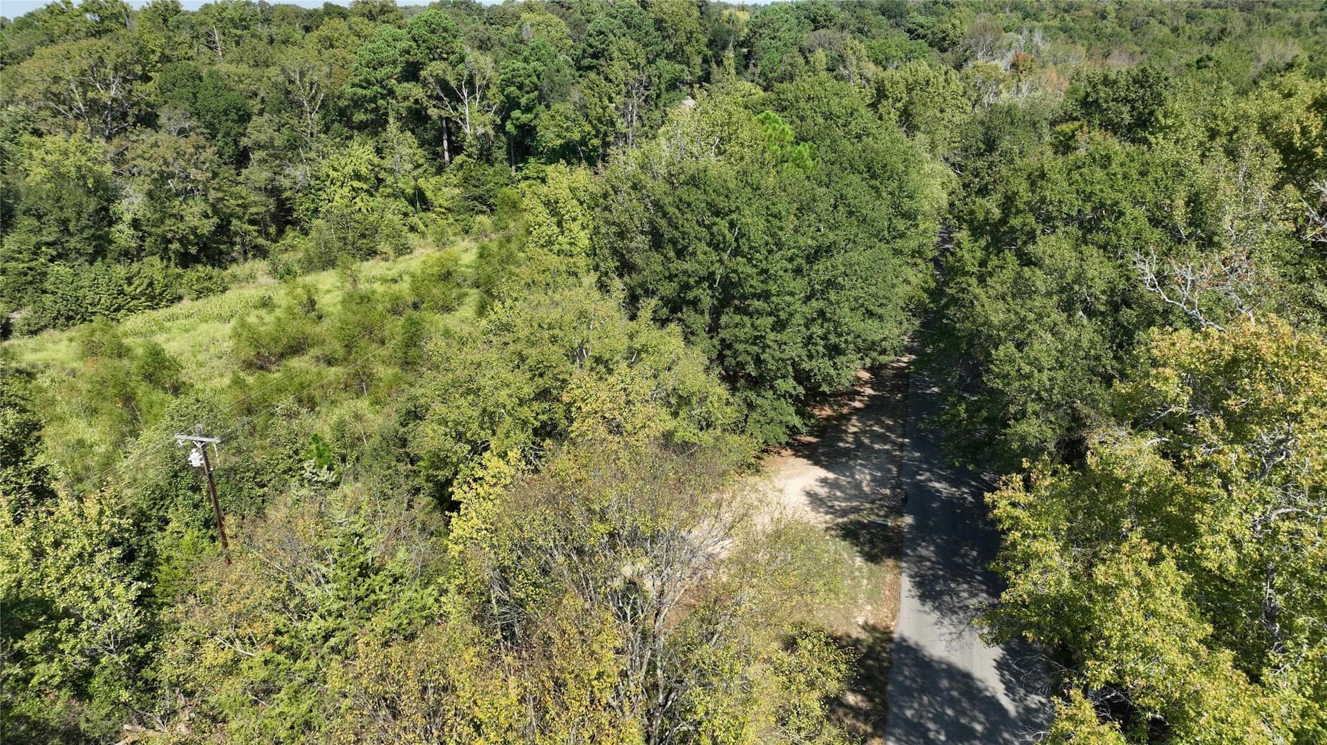 3.62 acres in Wood County - photo 23