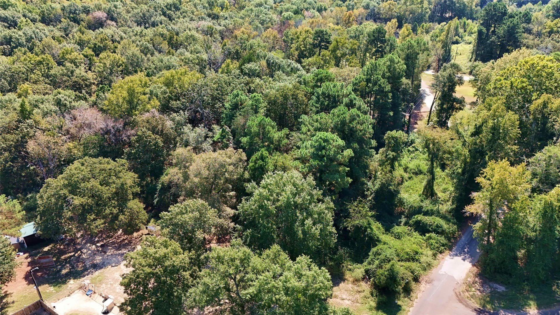 3.62 acres in Wood County - photo 21