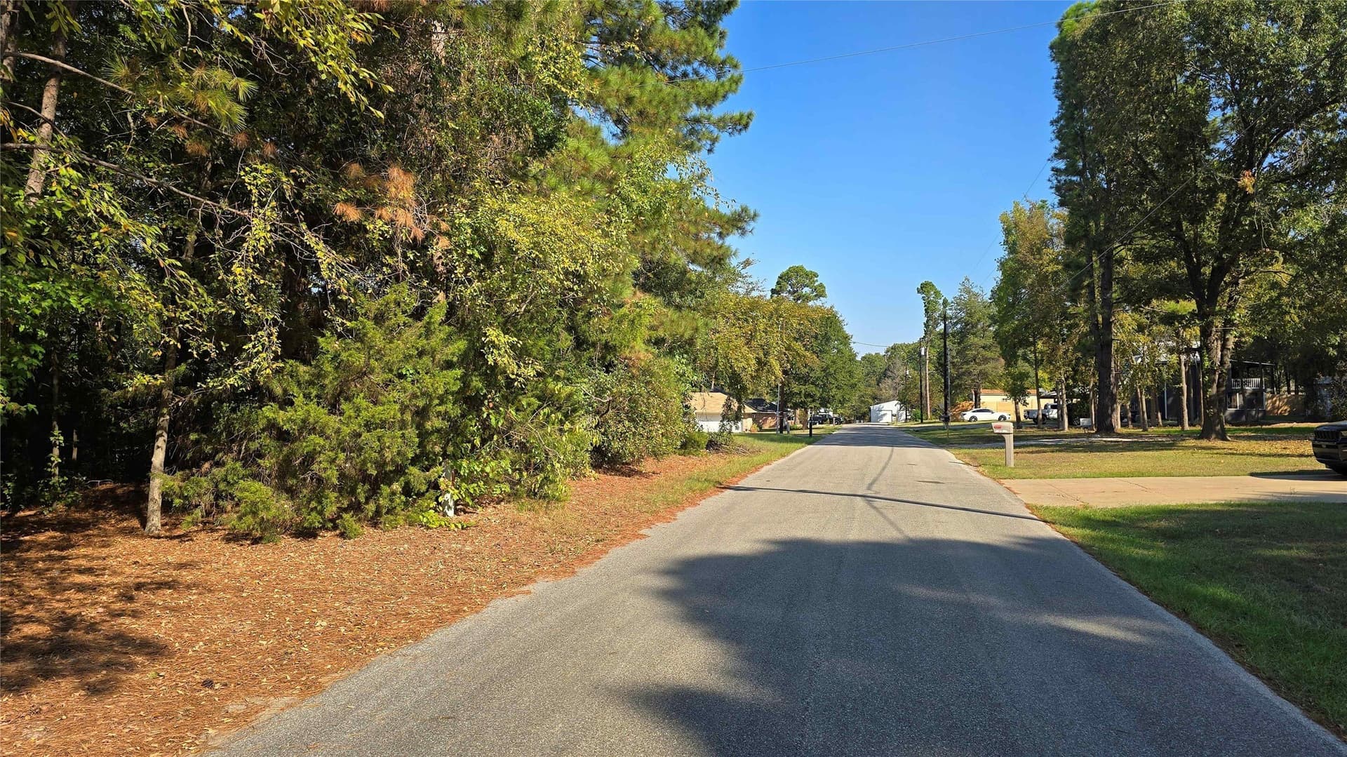3.62 acres in Wood County gallery image 4