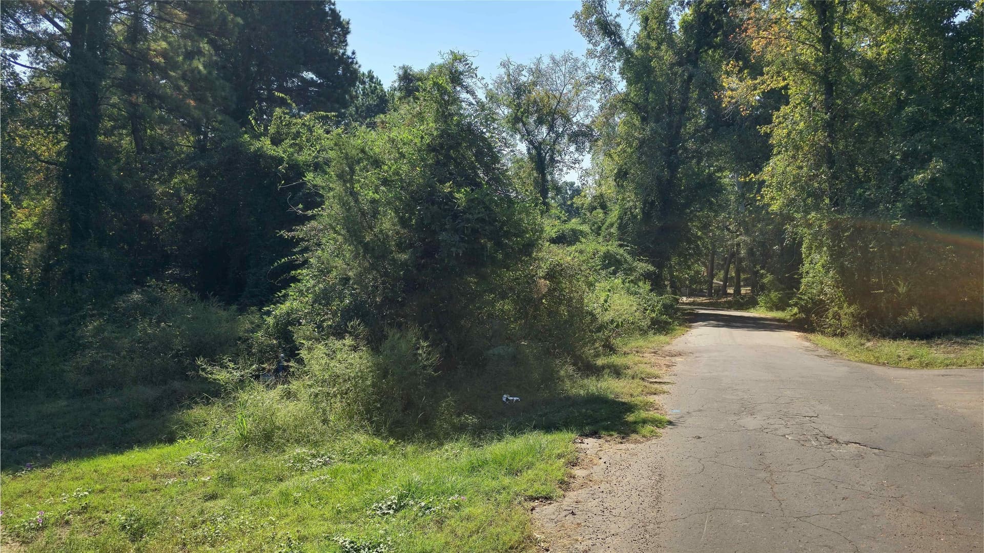 3.62 acres in Wood County - photo 22