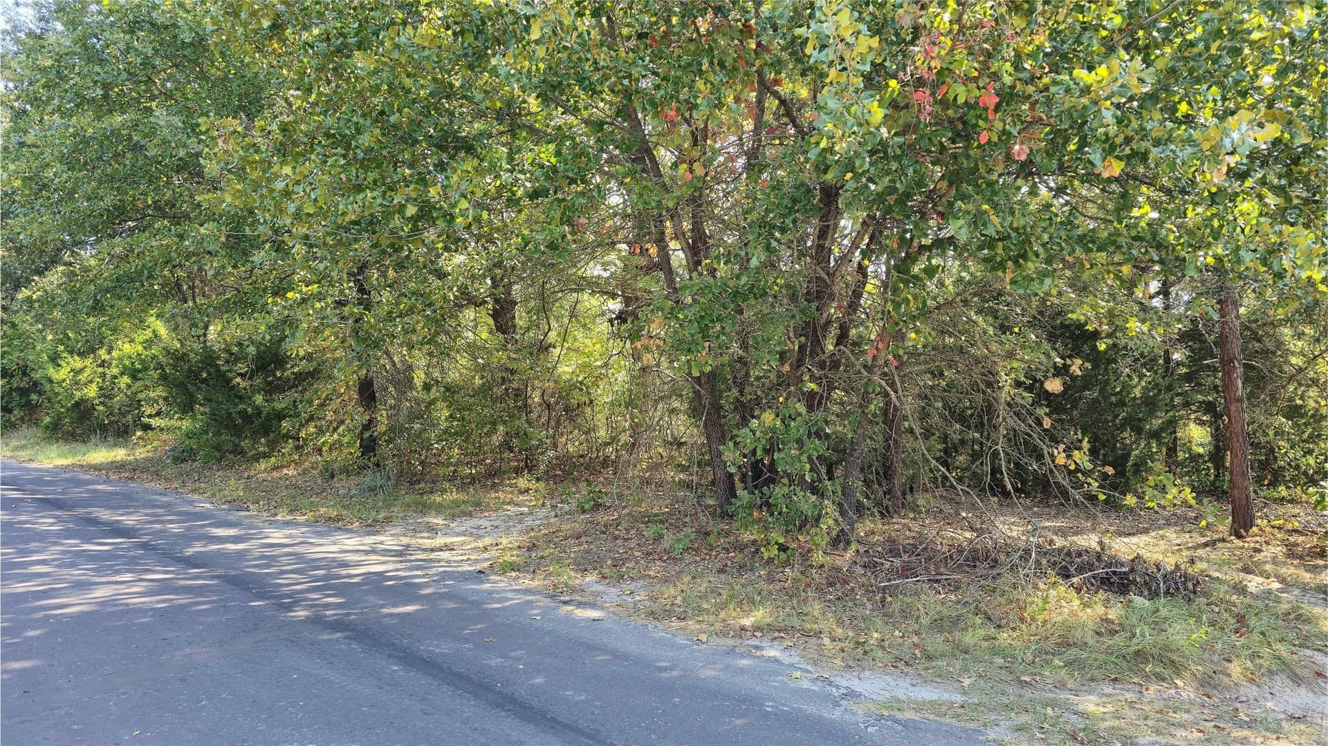 3.62 acres in Wood County - photo 18