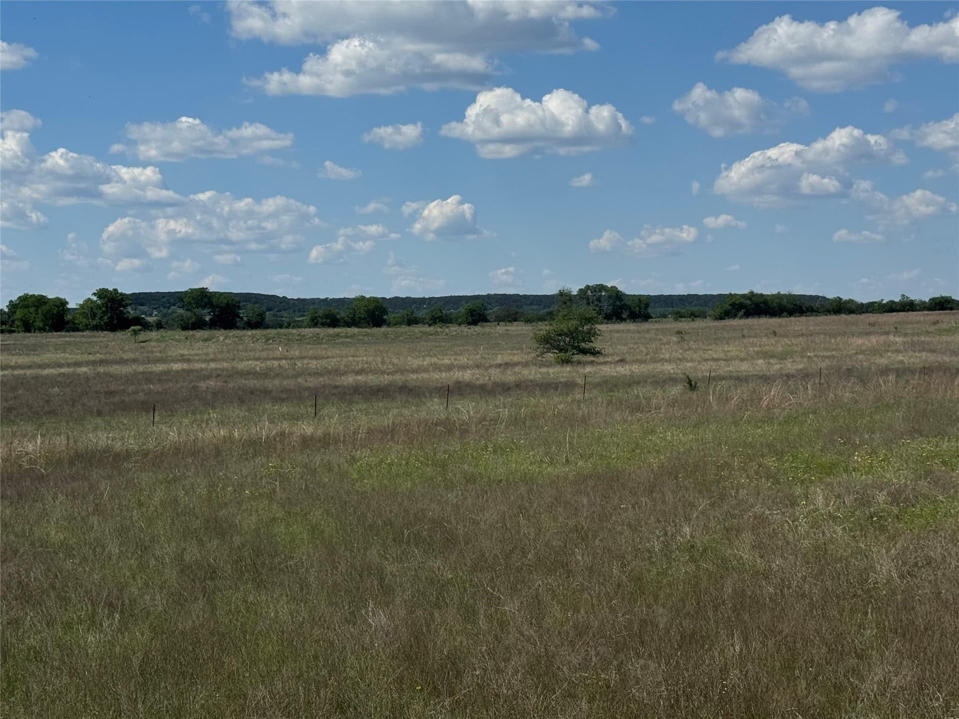 193.64 acres in Bosque County - photo 13