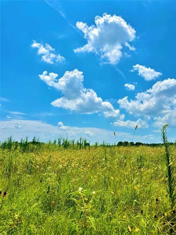 5.72 acres in Hopkins County featured view