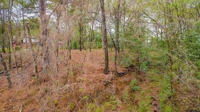 0.84 acres in Smith County gallery image 2
