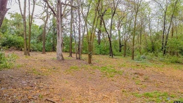 0.84 acres in Smith County featured view