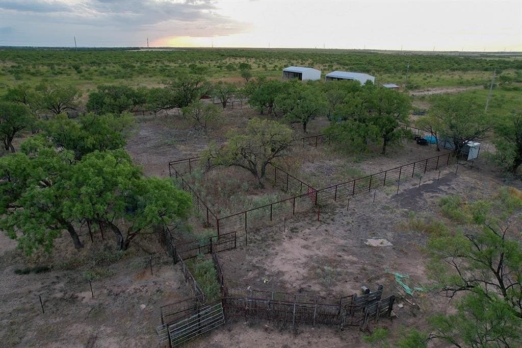 172.81 acres in Jones County gallery image 3