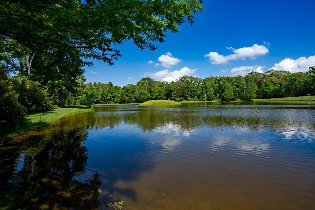 0.75 acres in ANDERSON County - photo 34