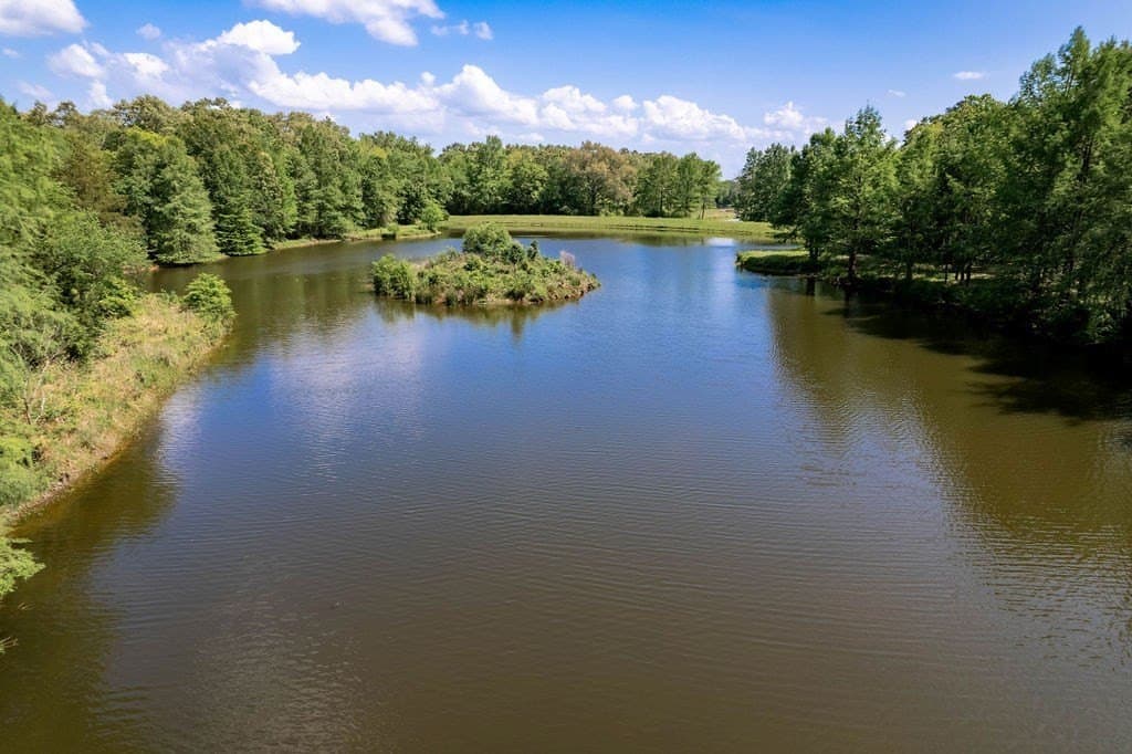 0.75 acres in ANDERSON County - photo 29