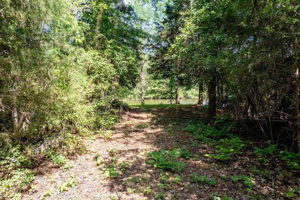 0.75 acres in ANDERSON County - photo 8