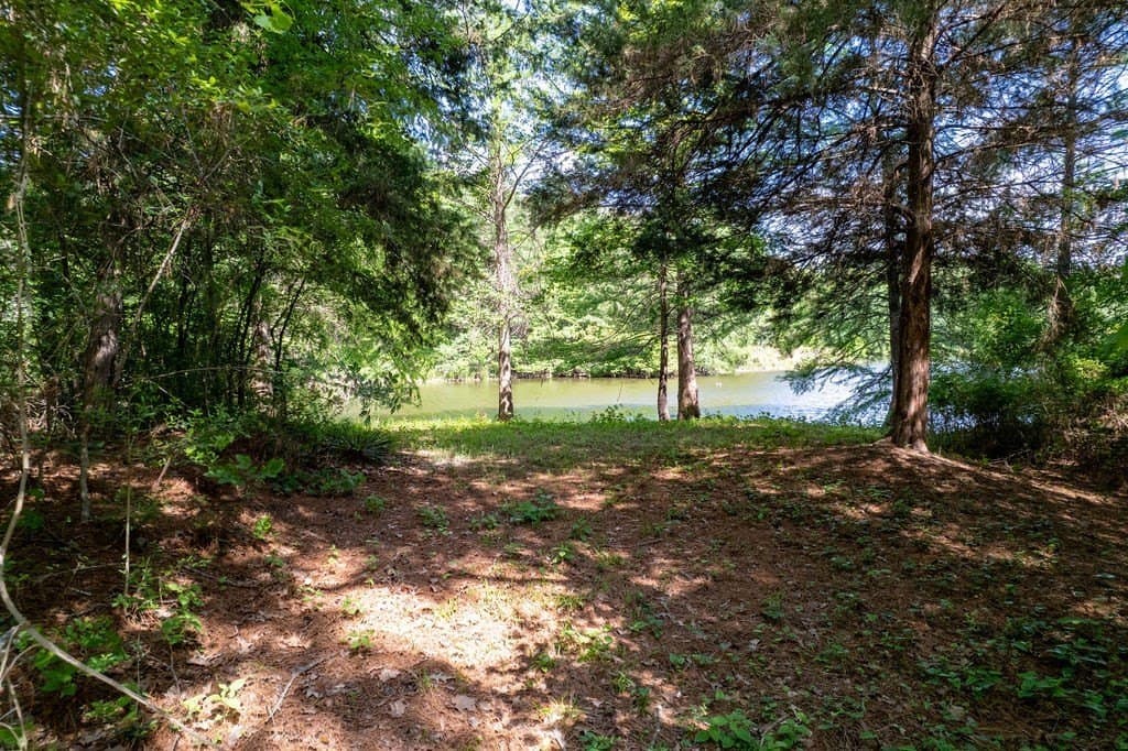 0.75 acres in ANDERSON County - photo 9
