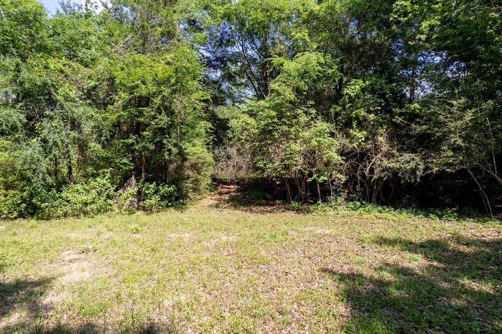0.75 acres in ANDERSON County - photo 7