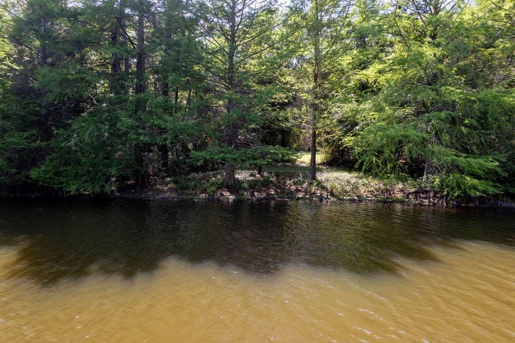 0.75 acres in ANDERSON County - photo 12
