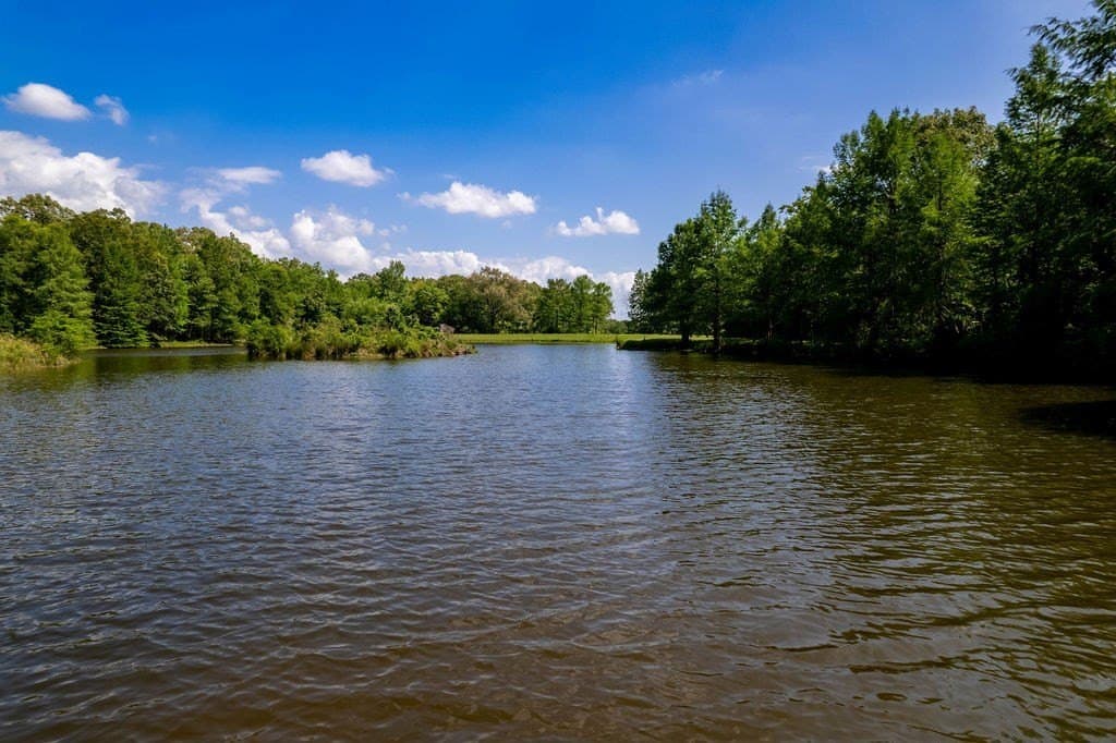 0.75 acres in ANDERSON County - photo 11