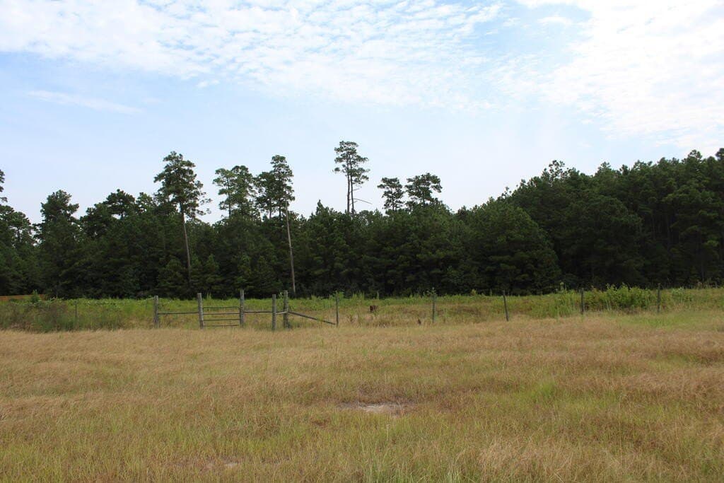 6.91 acres in Texas County - photo 8