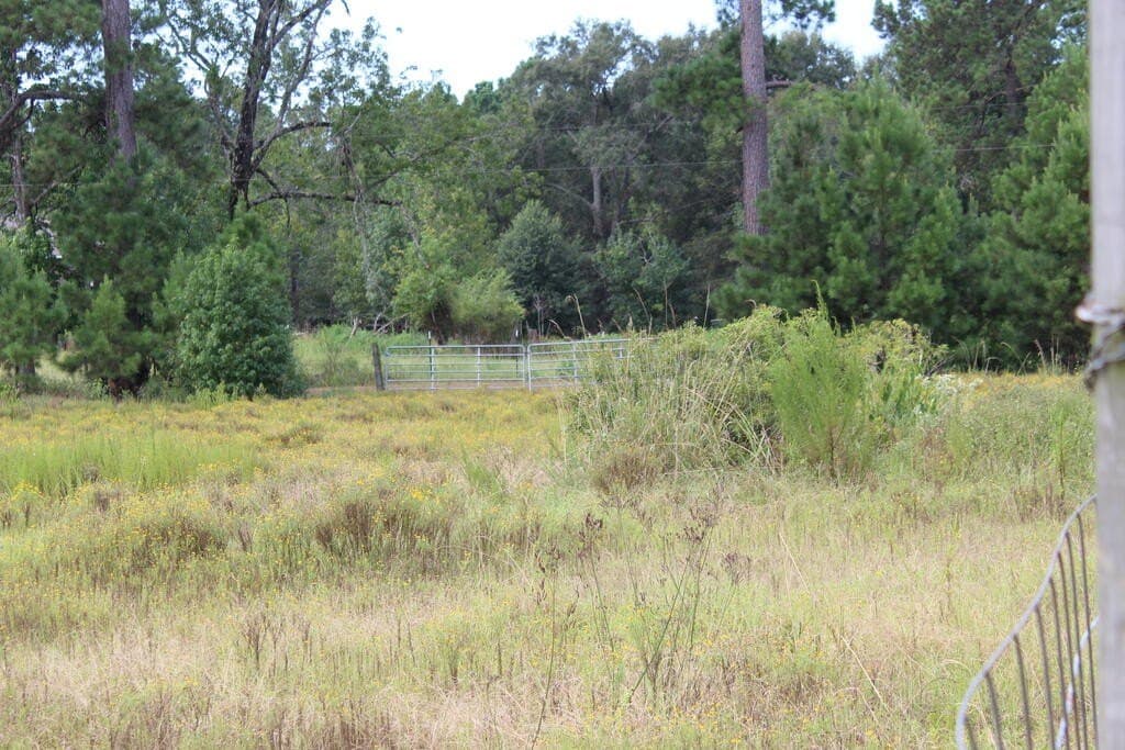 6.91 acres in Texas County - photo 6