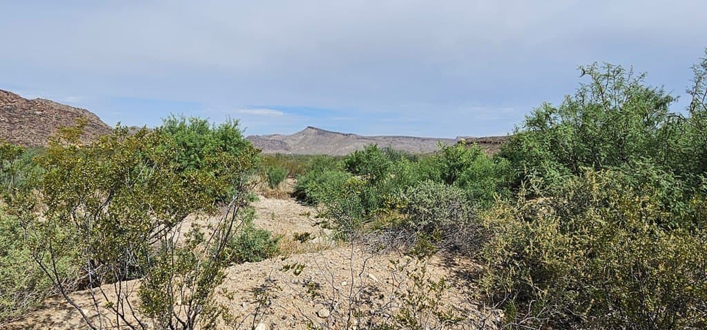 48.76 acres in Brewster County - photo 42