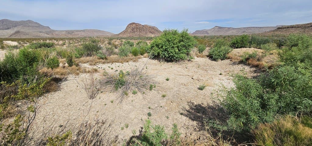 48.76 acres in Brewster County - photo 41